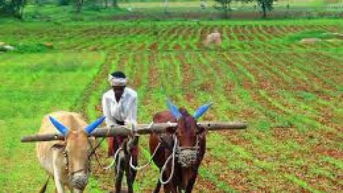 ജനങ്ങളുടെ ജീവിതനിലവാരം മെച്ചപ്പെടുത്താൻ കേന്ദ്രം ദൃഢനിശ്ചയം എടുത്തതായി കേന്ദ്രമന്ത്രി അമിത് ഷാ 1 Untitled design 16