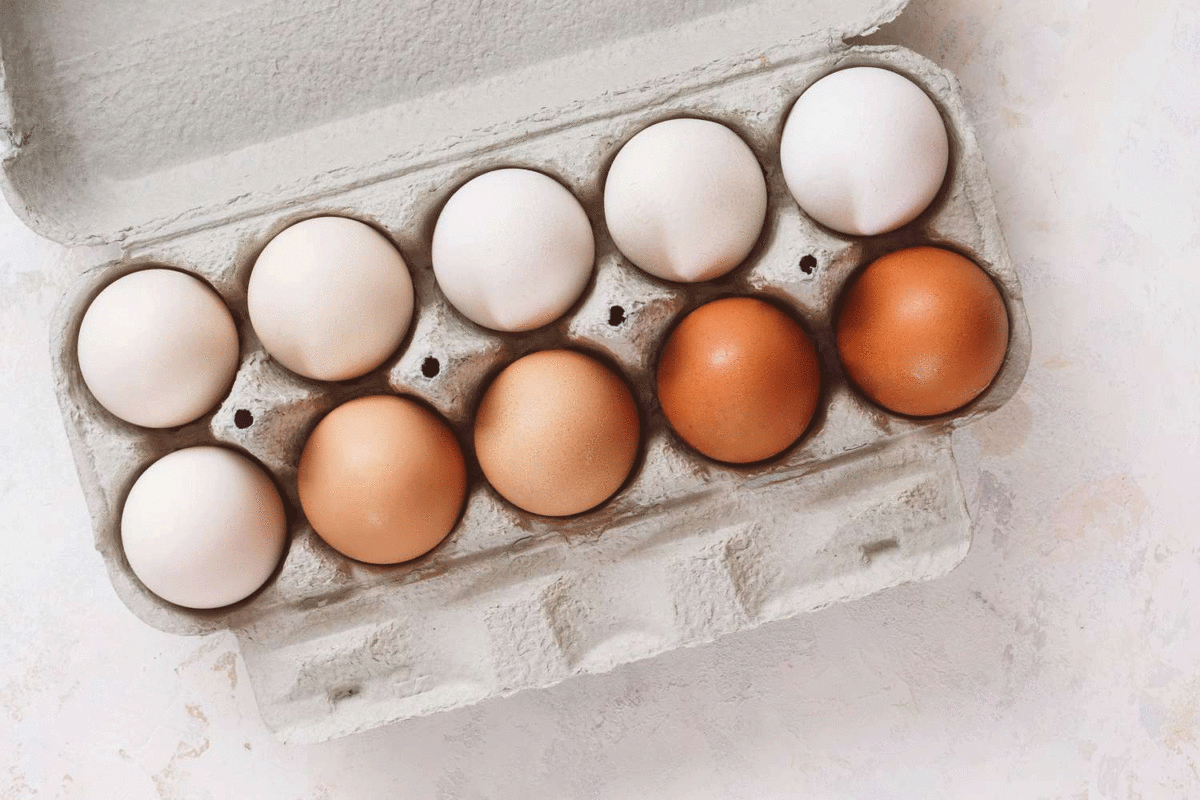 6 36