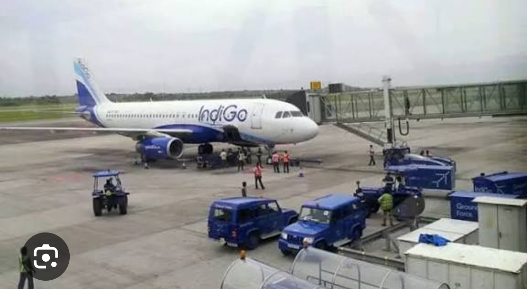 indigo reply r