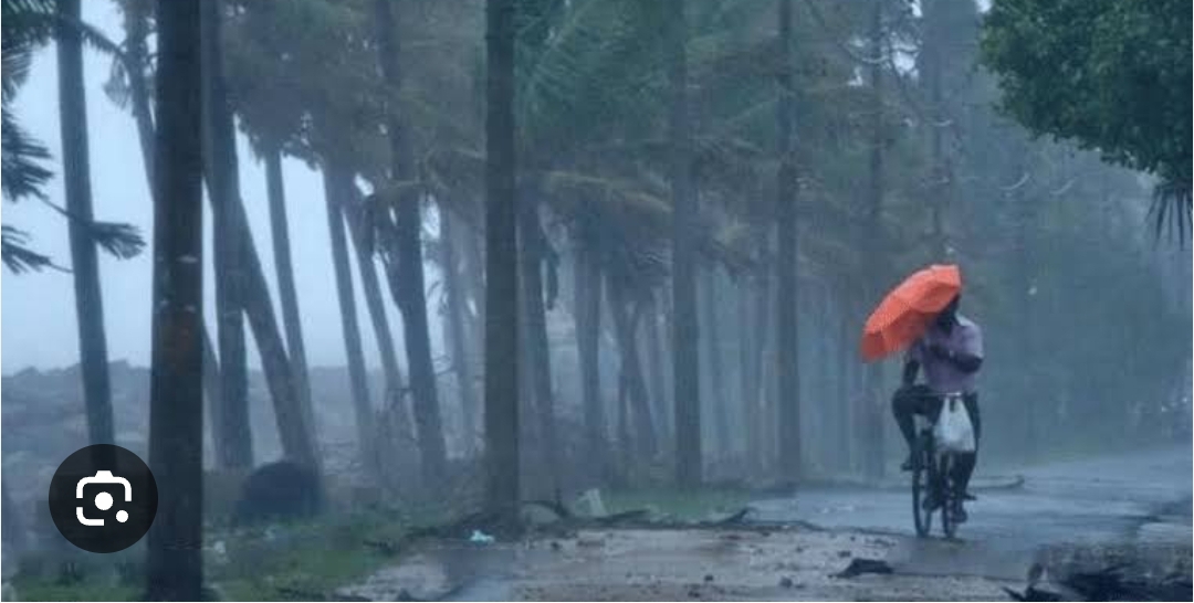 rainkerala 3