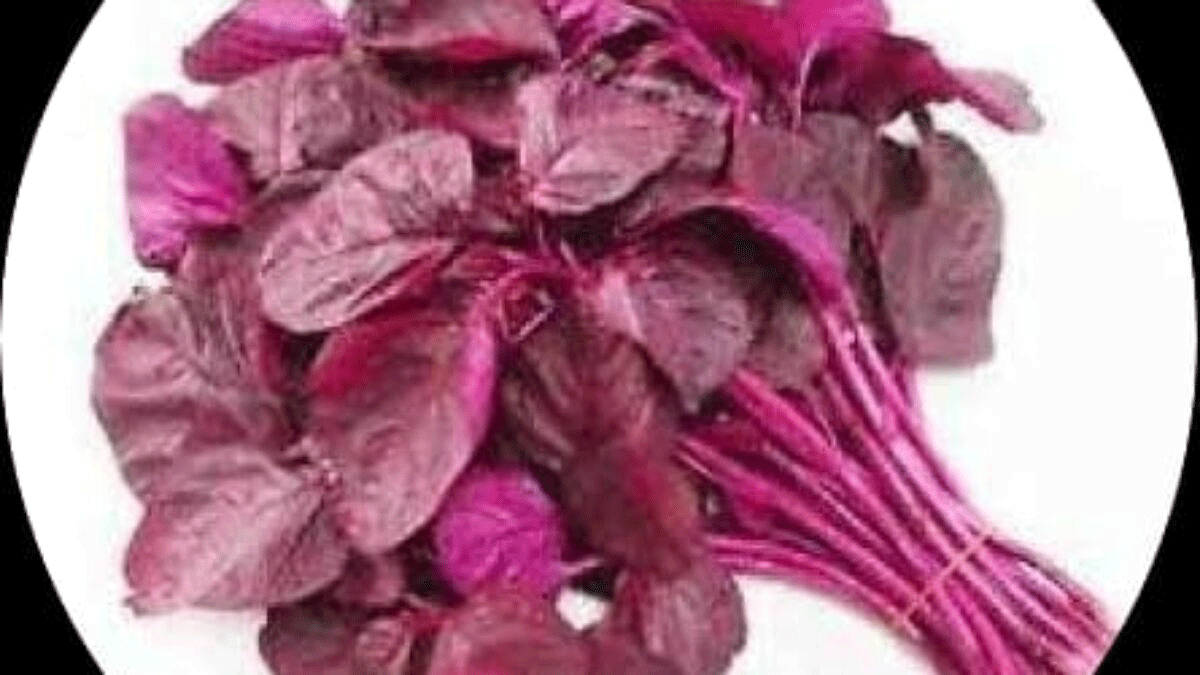 7 24