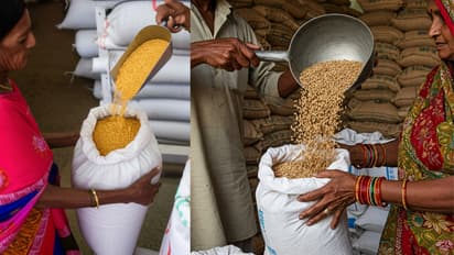 w 412h 232imgid 01jv1r0jfchcxcxw3q13bczg4eimgname dehradun ration card update free ration delay pos machine data collection 1747036686828