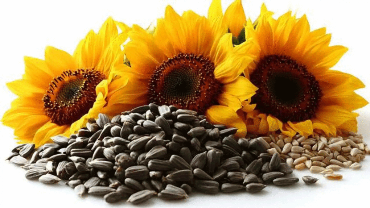 7 43