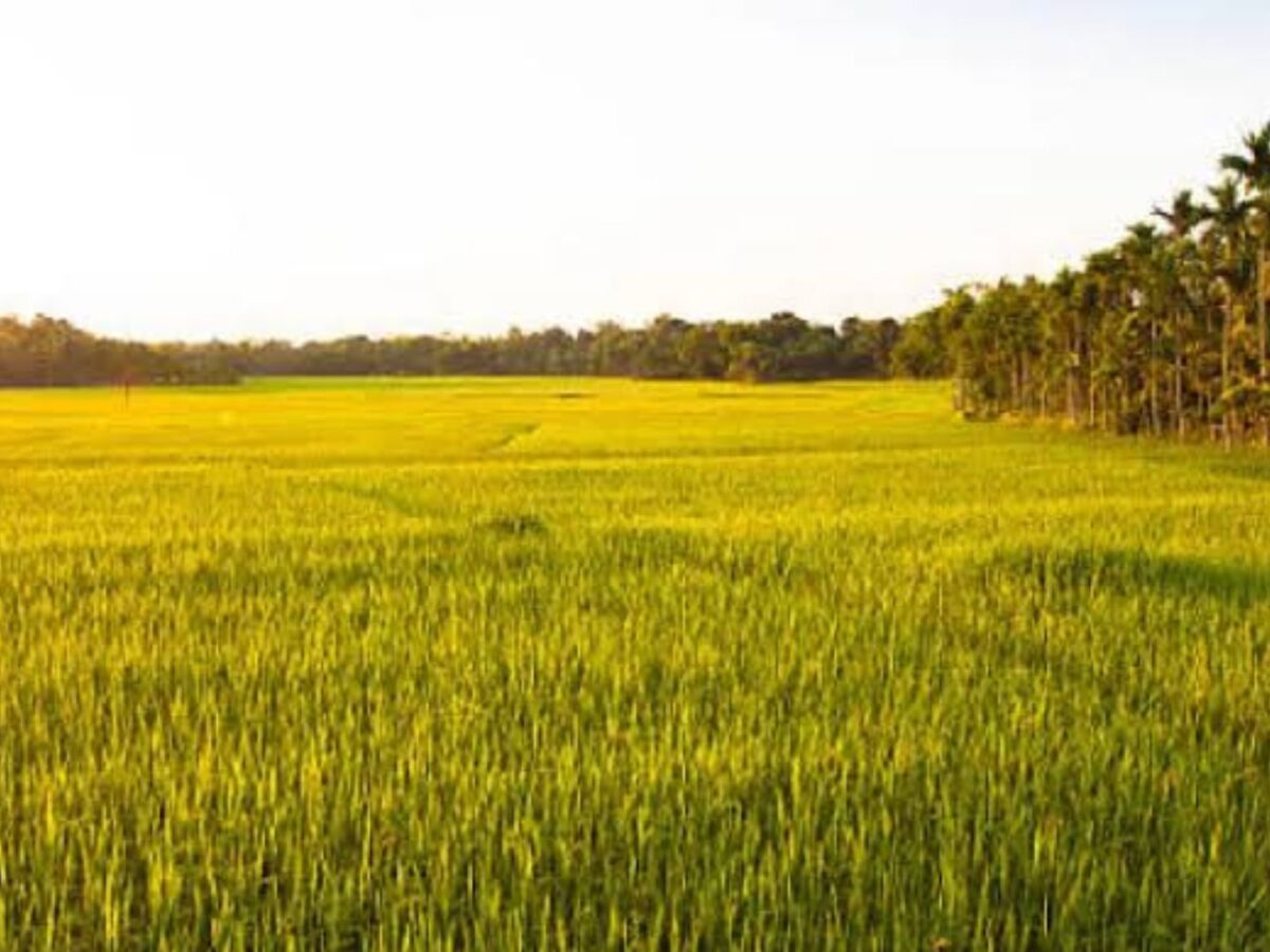 കേരളത്തിന് ഇന്ന് പുതുവര്‍ഷപ്പിറവി
