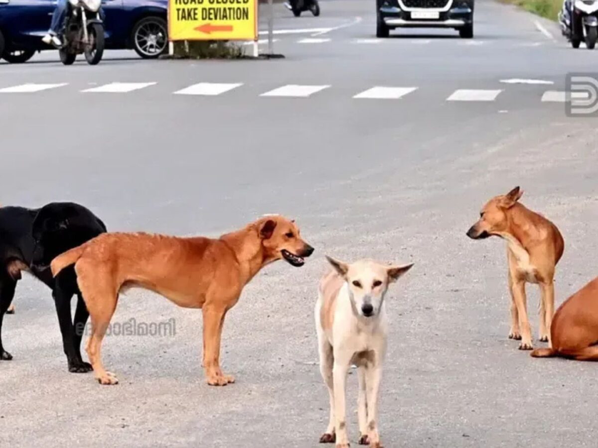 തിരുവല്ലത്ത് തെരുവുനായയുടെ ആക്രമണം