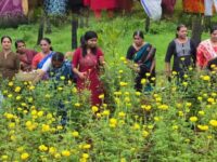 ഓണവിപണിയില്‍ കോടികളുടെ വിളവെടുപ്പുമായി കുടുംബശ്രീ