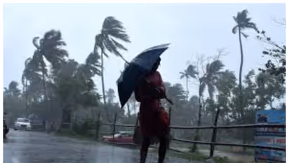 w 412h 232croprect 0x10x1280x720imgid 01k8as39v8eg798dep756cvkenimgname kerala rain 1761298458472