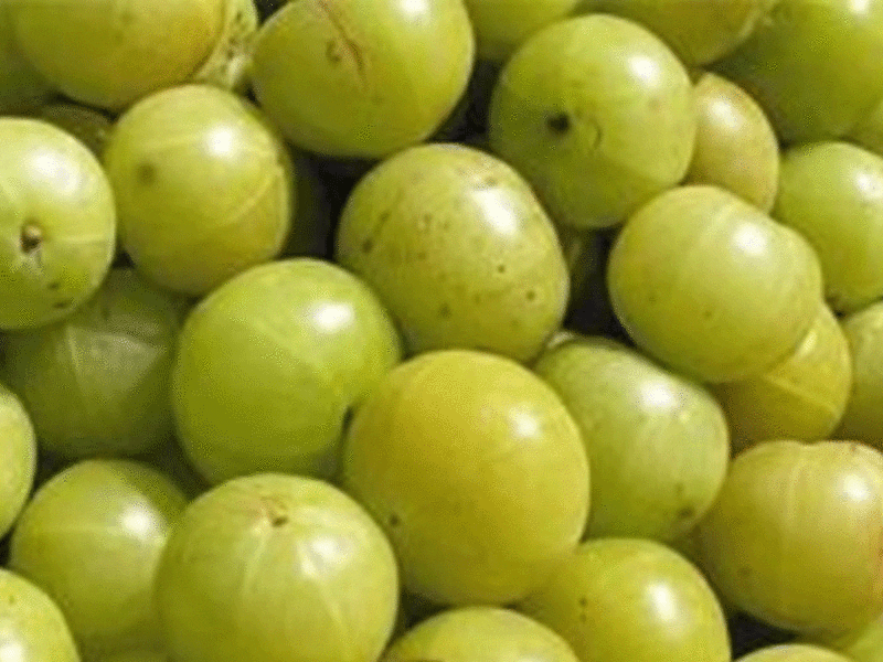 നെല്ലിക്ക എല്ലാവര്‍ക്കും അത്ര നല്ലതല്ല!
