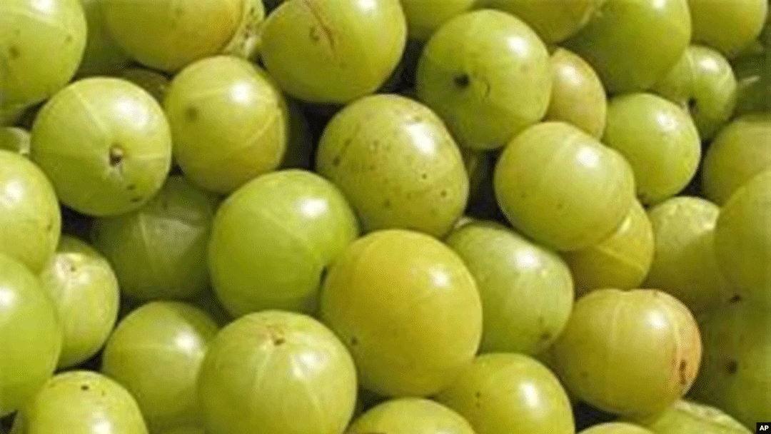 6 18