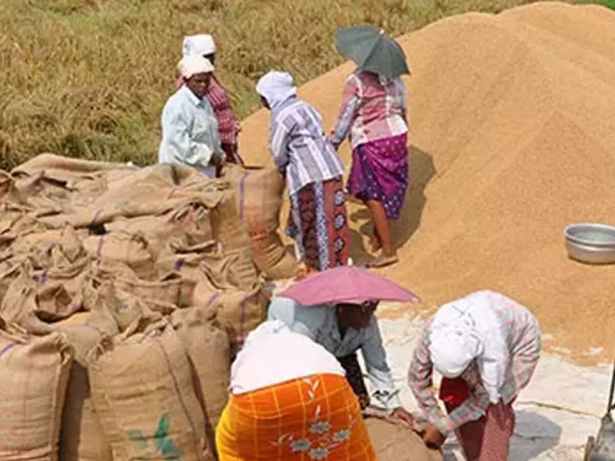 നെല്ലിന്‍റെ പണം നൽകുമെന്ന സർക്കാർ ഉറപ്പ് പാലിക്കപ്പെട്ടില്ലെന്ന് റിപ്പോർട്ട്