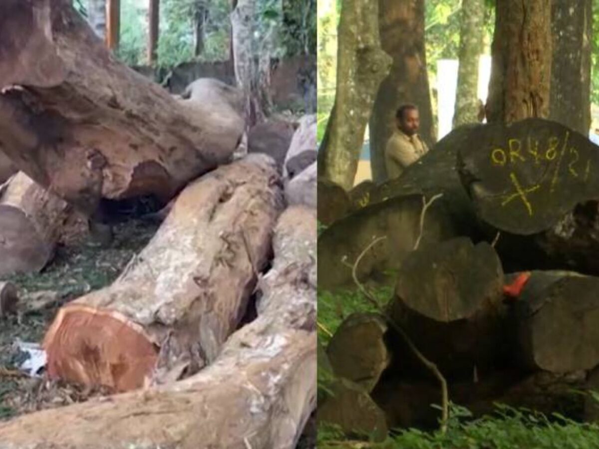 മുട്ടിൽ മരം മുറികേസിൽ വനംവകുപ്പ് നൽകിയ കുറ്റപത്രം മടക്കി കോടതി