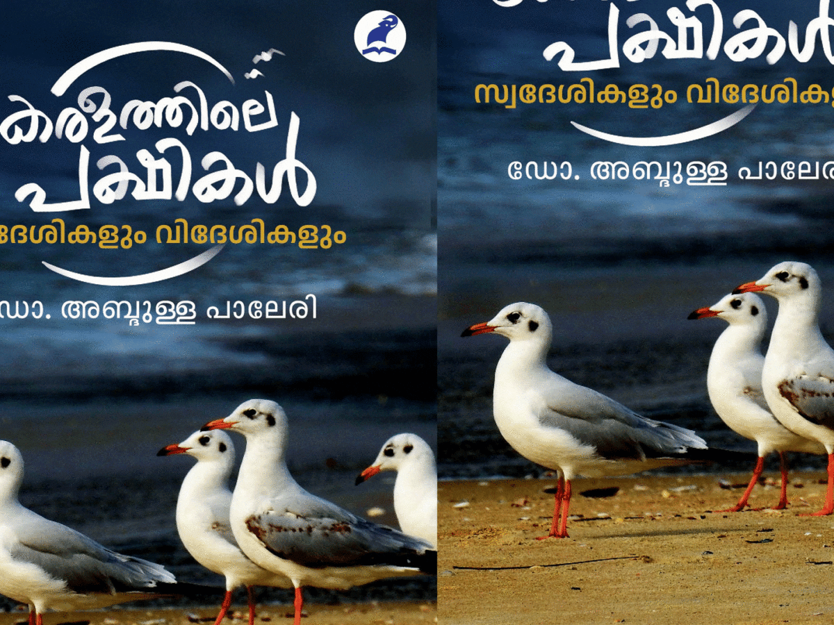 കേരളത്തിലെ പക്ഷികള്‍: സ്വദേശികളും വിദേശികളും